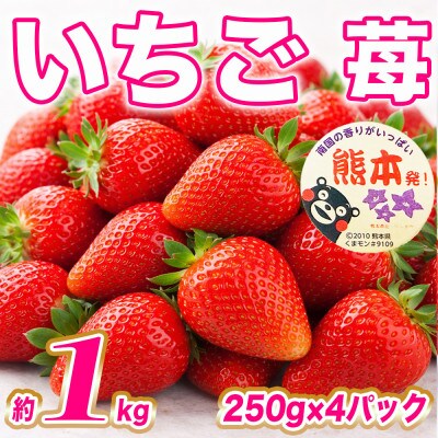 いちご 約1kg(250g×4パック)(菊池市)