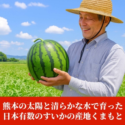 大玉すいか S以上 2玉 約4kg(菊池市)