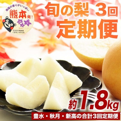 【発送月固定定期便】梨の定期便 約1.8kg 豊水・秋月・新高(菊池市)全3回