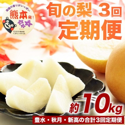 【発送月固定定期便】梨の定期便 約10kg 豊水・秋月・新高(菊池市)全3回