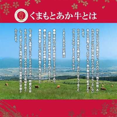 GIくまもとあか牛 すきやき 500g(菊池市)