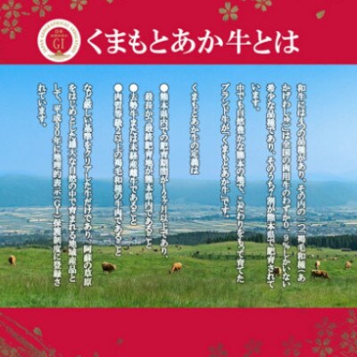 GIくまもとあか牛 特選焼肉 500g(菊池市)