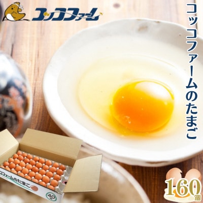 熊本県 菊池市 コッコファームのたまご 160個入【コッコファーム】