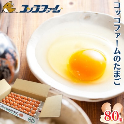 熊本県 菊池市 コッコファームのたまご 80個入【コッコファーム】
