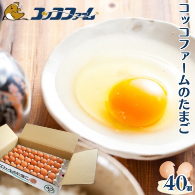 熊本県 菊池市 コッコファームのたまご 40個入【コッコファーム】