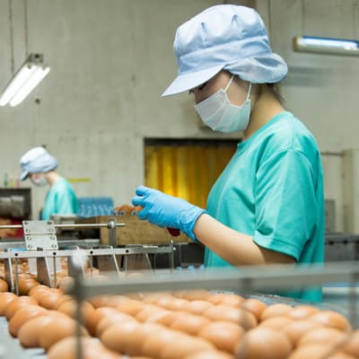 熊本県 菊池市 コッコファームのたまご 40個入【コッコファーム】