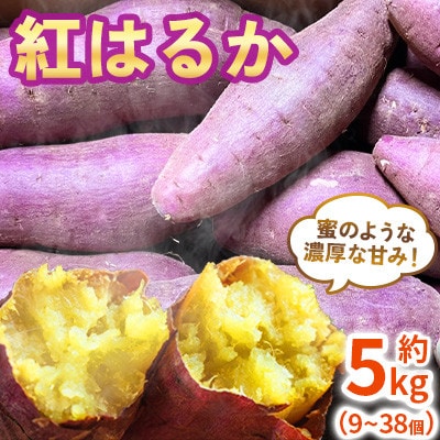 さつまいも 紅はるか 約5kg(9～38個) 熊本県【GGYパッケージ】(菊池市)