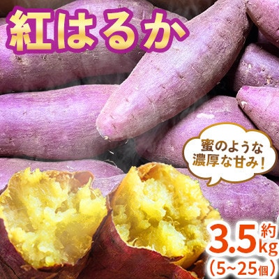 さつまいも 紅はるか 約3.5kg(5～25個) 熊本県【GGYパッケージ】(菊池市)