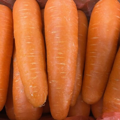 人参　約10kg(2L～M) 【GGYパッケージ】(菊池市)
