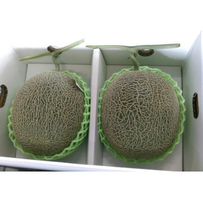 肥後グリーンメロン　2玉入り　3Lサイズ以上(菊池市)