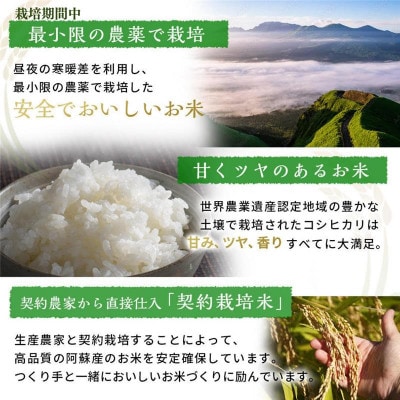 熊本県菊池産 こだわり七城米 5kg(菊池市)