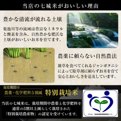 熊本県菊池産 こだわり七城米 5kg(菊池市)