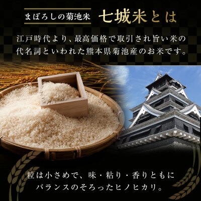 熊本県菊池産こだわり七城米 10kg(5kg×2袋)(菊池市)