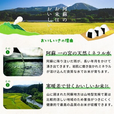 熊本県菊池産こだわり七城米 10kg(5kg×2袋)(菊池市)