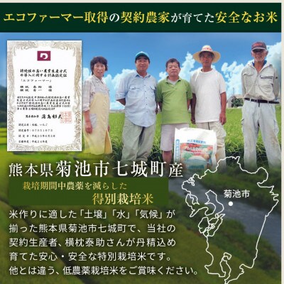 熊本県菊池産こだわり七城米 10kg(5kg×2袋)(菊池市)