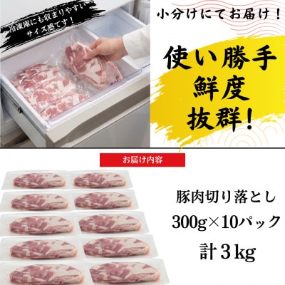 【熊本県産】豚肉切り落とし 真空パック小分け3kg(300g×10パック)