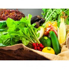 <畑から直送>季節のお野菜セット | ふるさと納税のお礼品