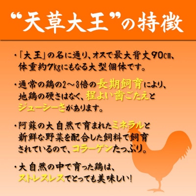 くまもと地鶏　天草大王　もも肉1kg