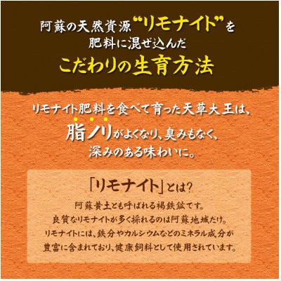 くまもと地鶏　天草大王　一羽まるごとセット