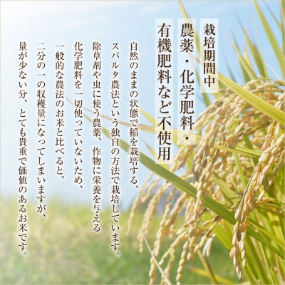 極美純米+黄金純米セット(2kg×2袋)