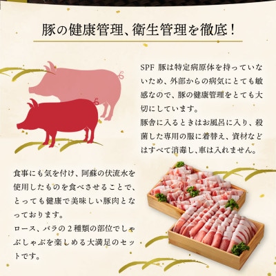 なでしこポーク(SPF豚)しゃぶしゃぶセット　2kg