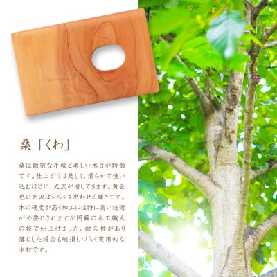 木工職人が作る木の名刺入れ(桑)