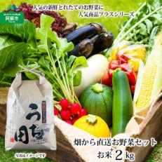 熊本県 季節のお野菜とお米の詰め合わせセット