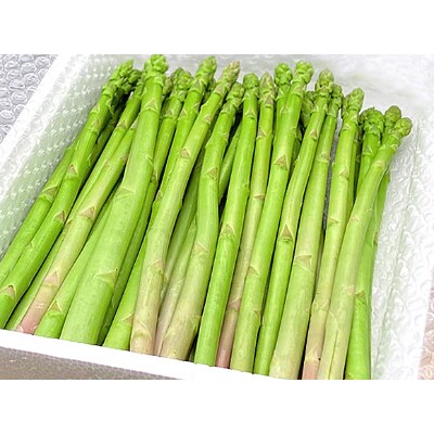 阿蘇の新鮮グリーンアスパラガス1kg お礼品詳細 ふるさと納税なら さとふる 阿蘇の新鮮グリーンアスパラガス1kg お礼品詳細 ふるさと納税なら さとふる