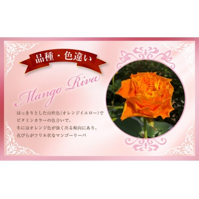 バラの花束(オレンジ・黄色系)1束10本