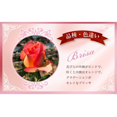 バラの花束(オレンジ・黄色系)1束10本