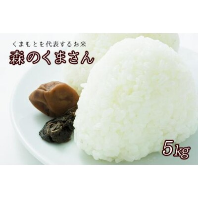 熊本県を代表するお米 森のくまさん 5kg