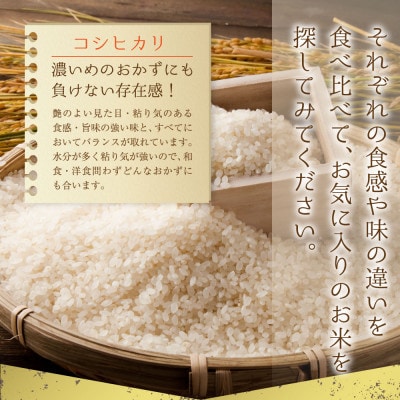 阿蘇のおいしいお米　食べ比べセット(白米バージョン)5品種×2kg　合計10kg