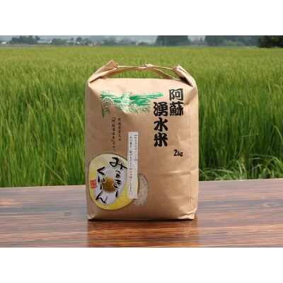阿蘇のおいしいお米 食べ比べセット(白米バージョン)5品種×2kg 合計10kg