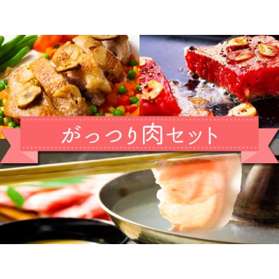 おうちごはんシリーズ「スタミナつけよう!がっつり肉セット」