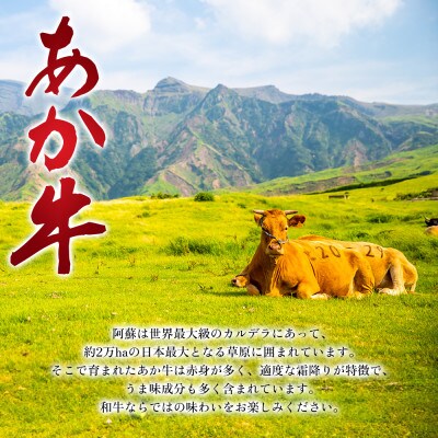 お米とくまもとあか牛がコラボ!こだわりのあか牛丼セット～火の山～(くまもとあか牛スライス・特製タレ)