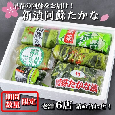 早春限定 新漬け阿蘇たかな詰め合わせセット お礼品詳細 ふるさと納税なら さとふる