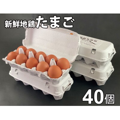 阿蘇の新鮮たまご 40個