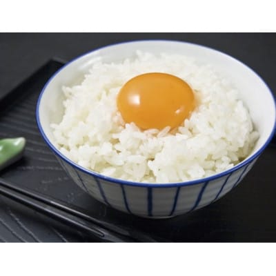 阿蘇の新鮮たまご 40個