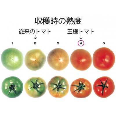 王様トマト~麗月~ 1kg