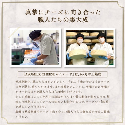 阿部牧場三ツ星ミルク使用 ASOMILK CHEESEセミハードホール約10kg(セミハードチーズ)