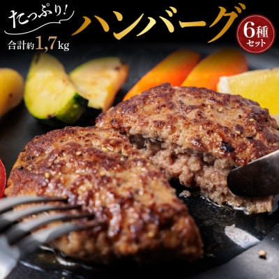 くまもとあか牛使用 種類いろいろハンバーグセット(ハンバーグ6種類食べ比べセット)