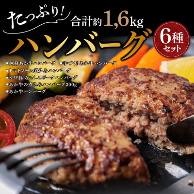 くまもとあか牛使用 種類いろいろハンバーグセット(ハンバーグ6種類食べ比べセット)