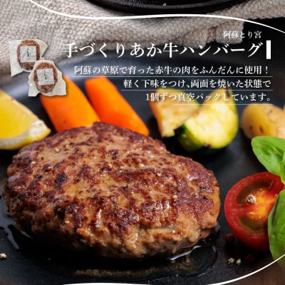 くまもとあか牛使用 種類いろいろハンバーグセット(ハンバーグ6種類食べ比べセット)
