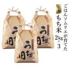 ご飯ソムリエが作る内田の精米もち米6kg | ふるさと納税のお礼品