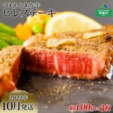 【2023年10月より順次発送】くまもとあか牛ヒレステーキ肉 約100g×3枚(熊本県阿蘇市)