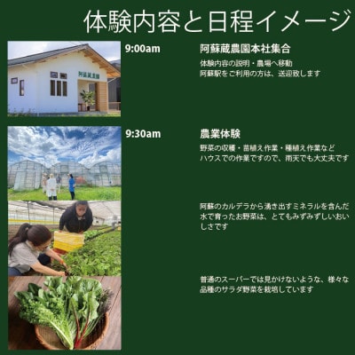 阿蘇のカルデラで農業体験&お散歩 昼食付き(お弁当・野菜スムージー)