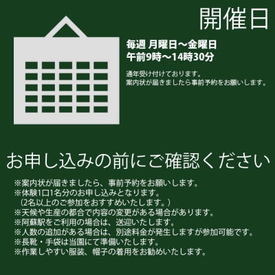阿蘇のカルデラで農業体験&お散歩 昼食付き(お弁当・野菜スムージー)