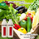 阿蘇産季節のお野菜と阿部牧場の三ツ星受賞牛乳「ASOMILK」800ml×2本