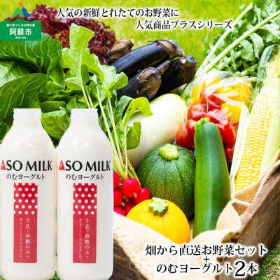 阿蘇産季節のお野菜と阿部牧場の三ツ星受賞のむヨーグルト800ml×2本セット
