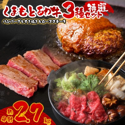 くまもとあか牛 肉3種セットVer.4(ロースステーキ・すき焼き用モモスライス・ハンバーグ)